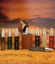 The Complete Fragrance Set for Men (LIGHTR + 7 Perfumes x 8ml)